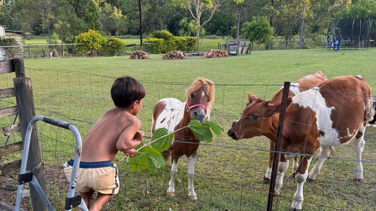 Robbo's Retreat Landsborough