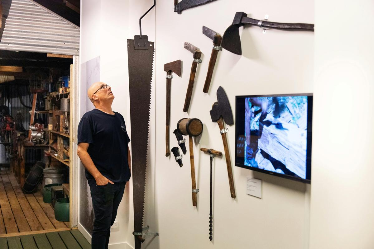 The Shed exhibition at the Redcliffe Museum