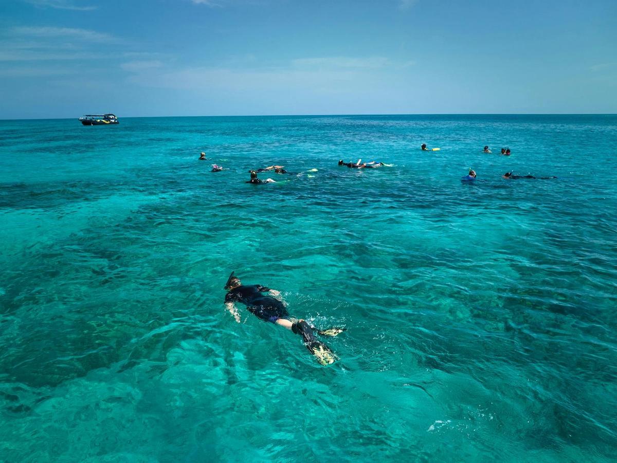A wide pan view of snorkelers swimming on the Great Barrier Reef