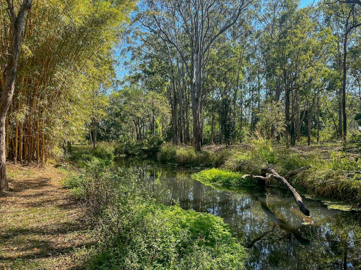 South Cedar Creek Tall Timbers Roadhouse
