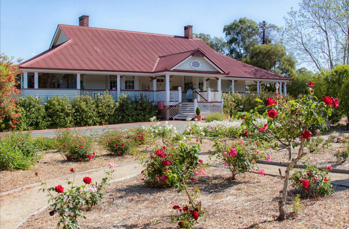 Beautiful gardens to wonder around when visiting Ringsfield House