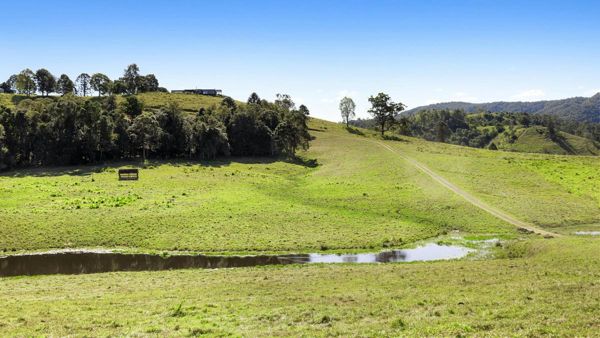Road view of property