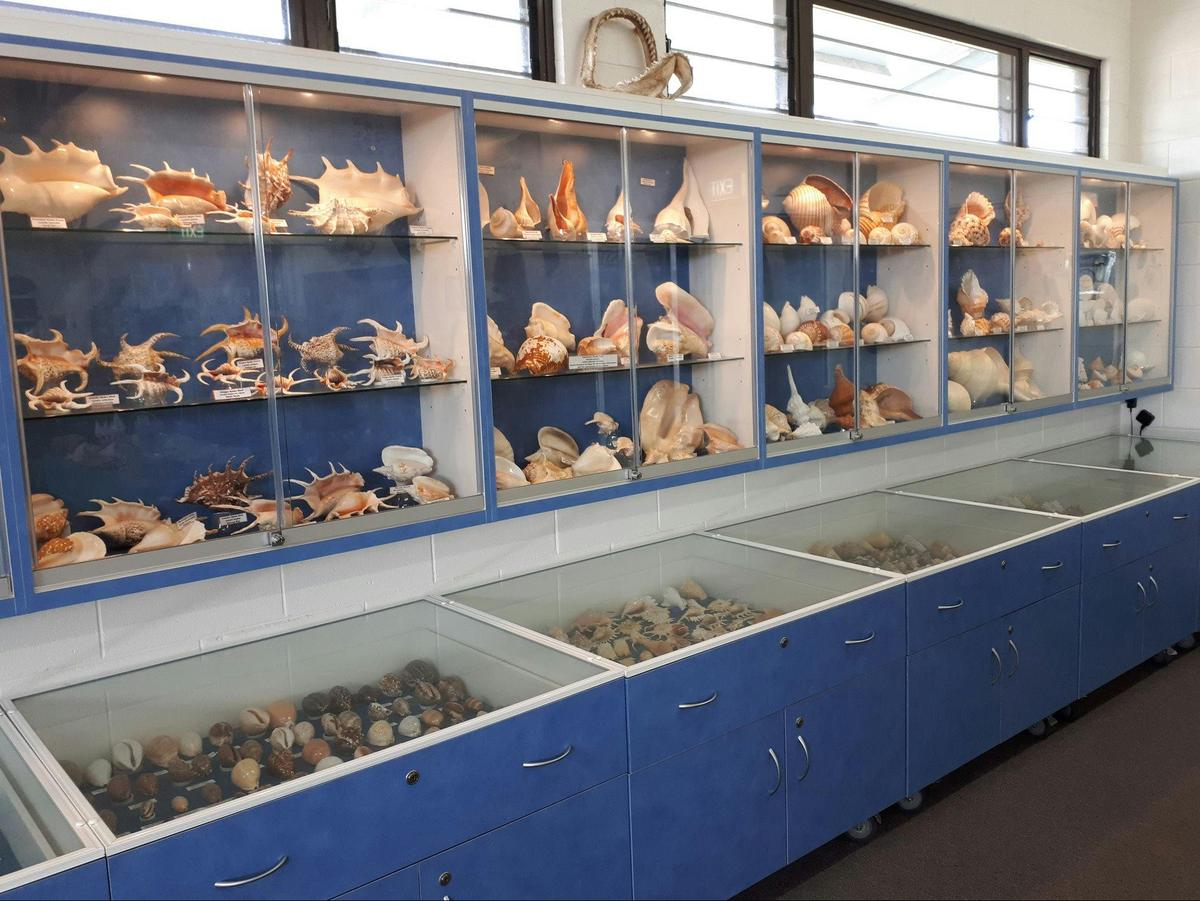 Shell World Yeppoon