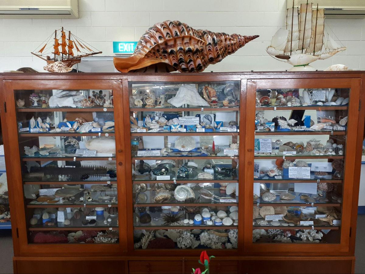 Shell World Yeppoon