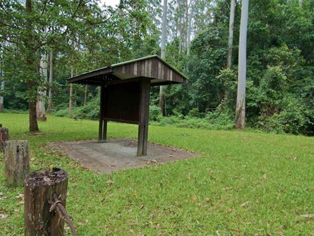 O'Sullivans picnic area park, Myall Lakes National Park. Photo: John Spencer