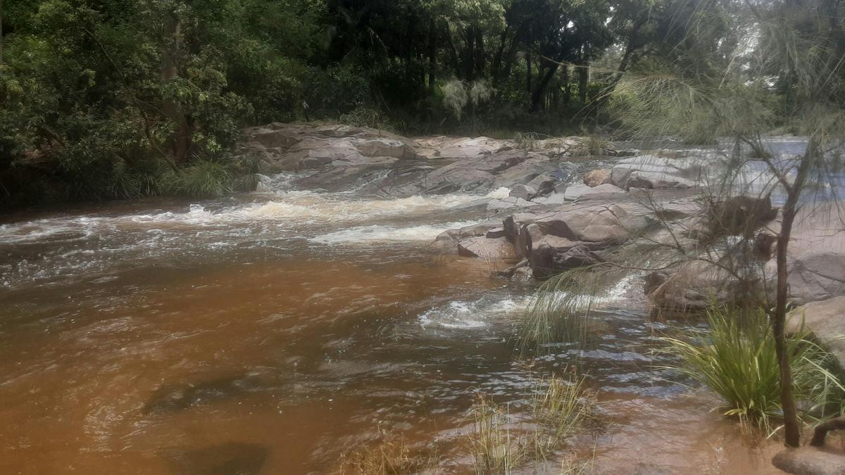 River Run Camping