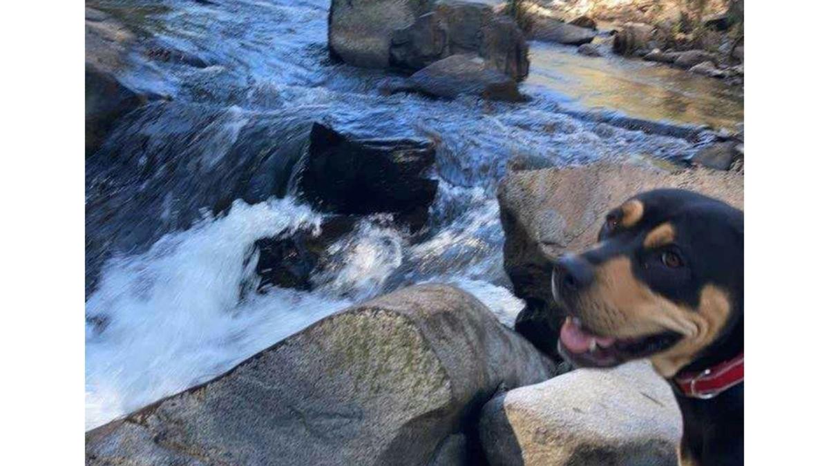 River Run Camping