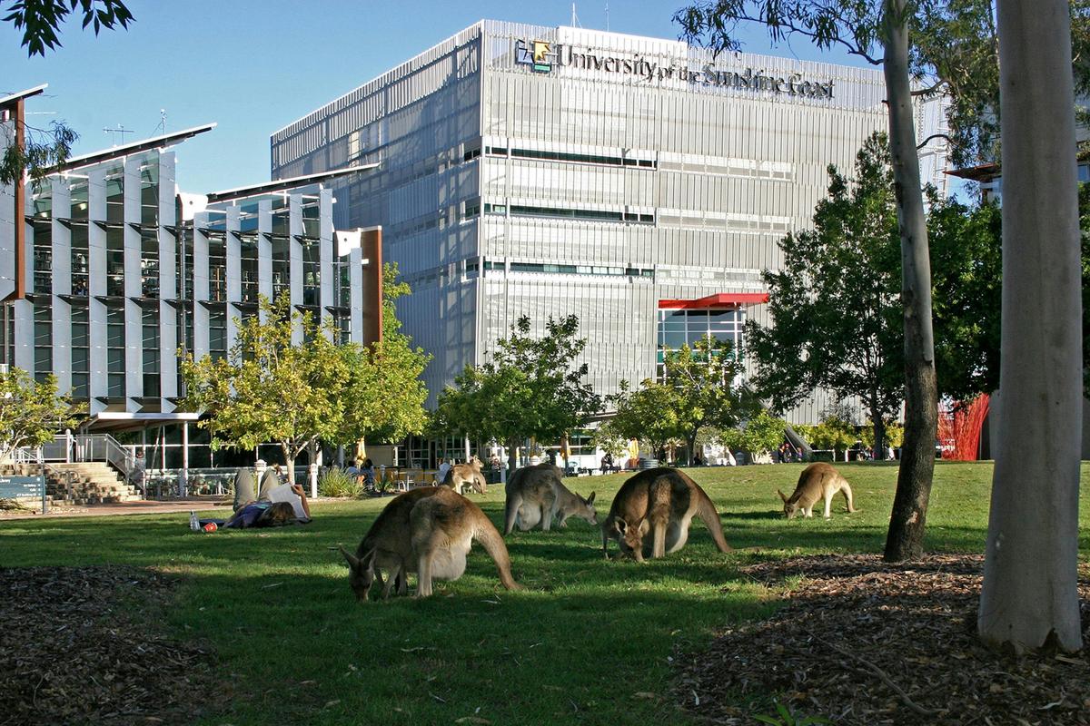 University of the Sunshine Coast Sippy Downs
