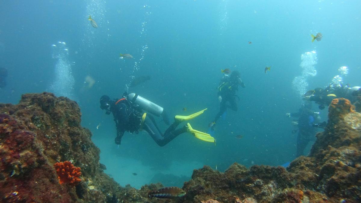 Scuba Diving Tour