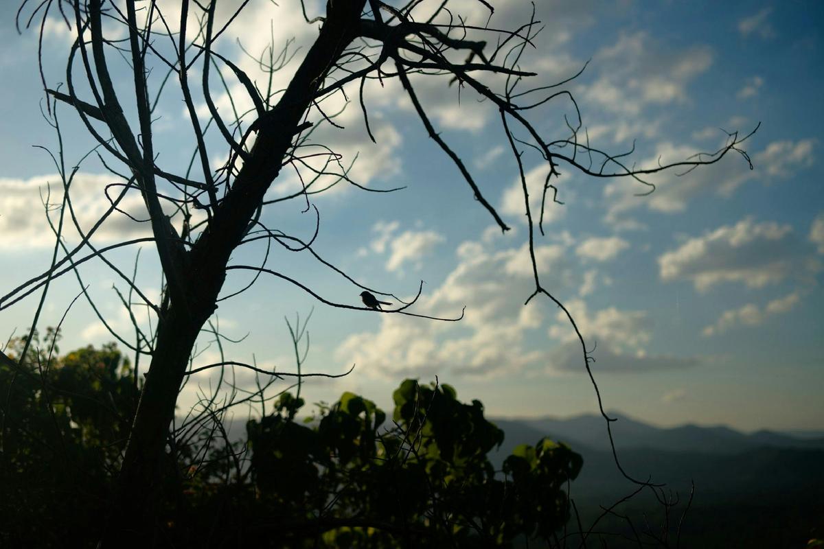 So many beautiful views to see from the Samford Valley Rail Trail