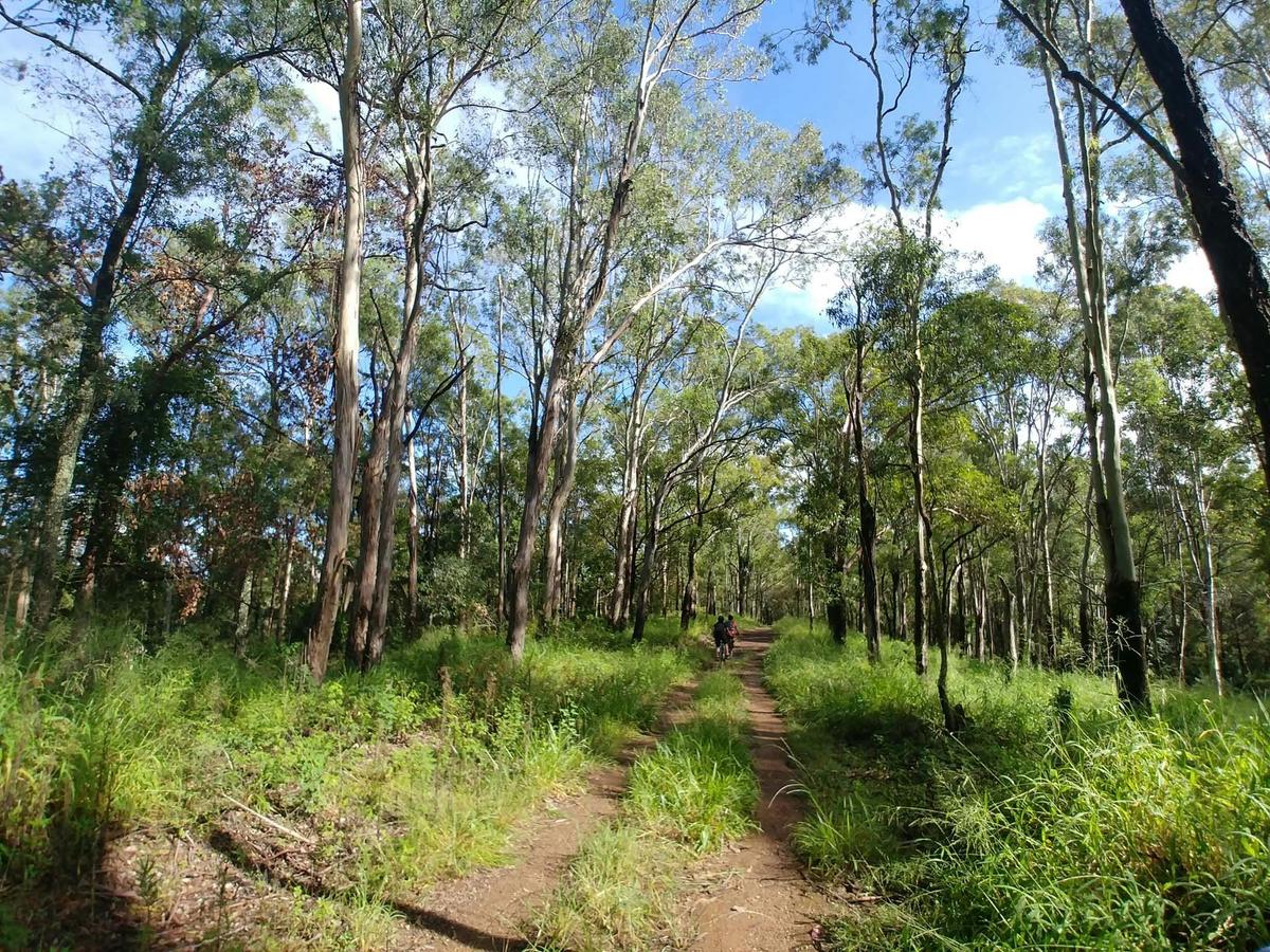 Samford Conservation Forest is a great place to take the bike for an off-road adventure