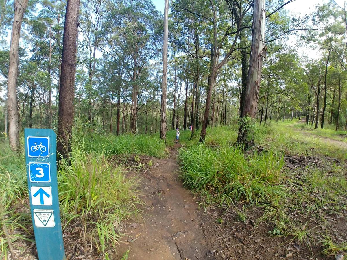 Samford Conservation Forest is an ideal place to get amongst nature with the family