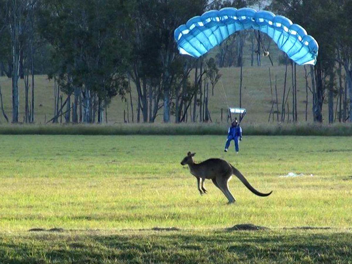 Learning To Skydive Courses at Ramblers Drop Zone - Toogoolawah