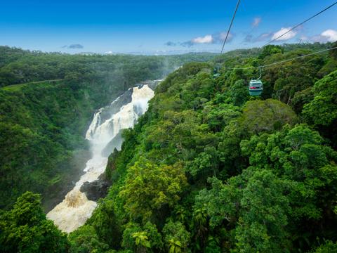 Skyrail Rainforest Cableway