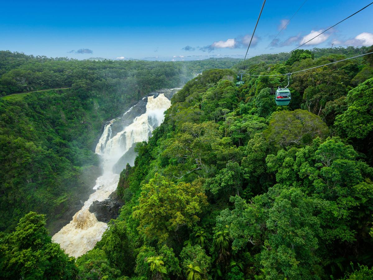 Glide gently into Barron Falls Station where you’ll leave your gondola to experience amazing views