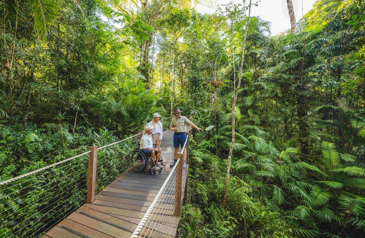 Skyrail Rainforest Cableway Universally Accessible Red Peak Ranger Guided Tour Image Credit Tourism