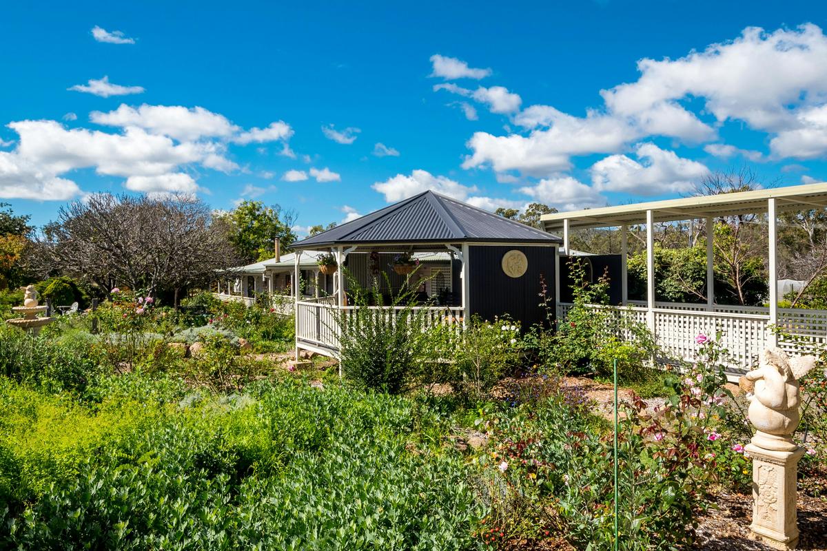 Sabos garden