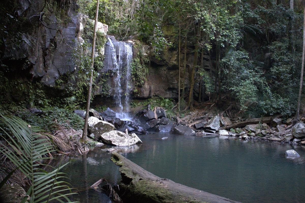 Curtis Falls