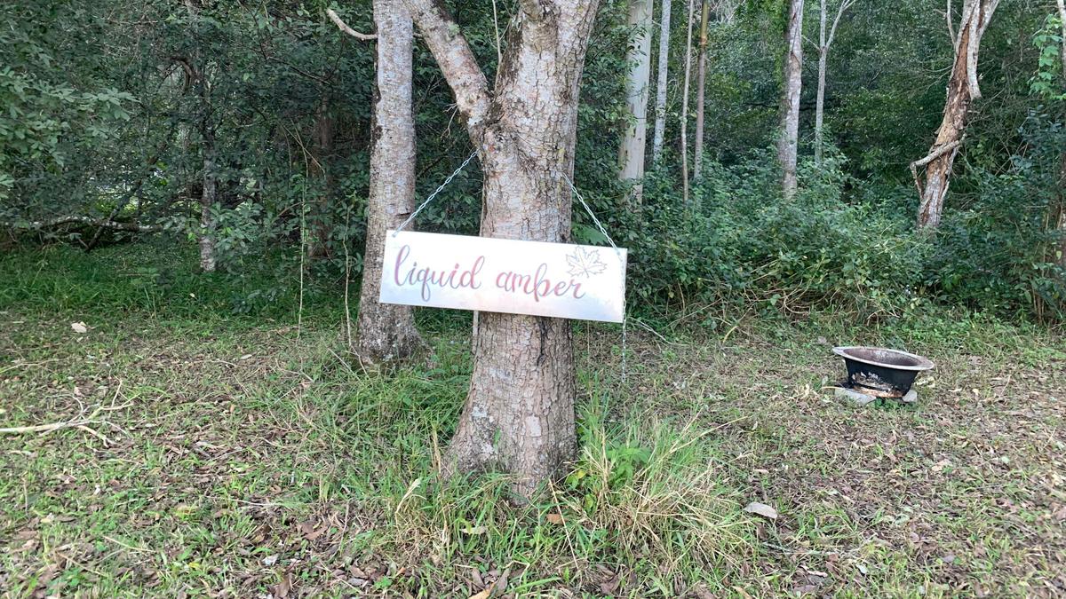 Safe Haven Retreat