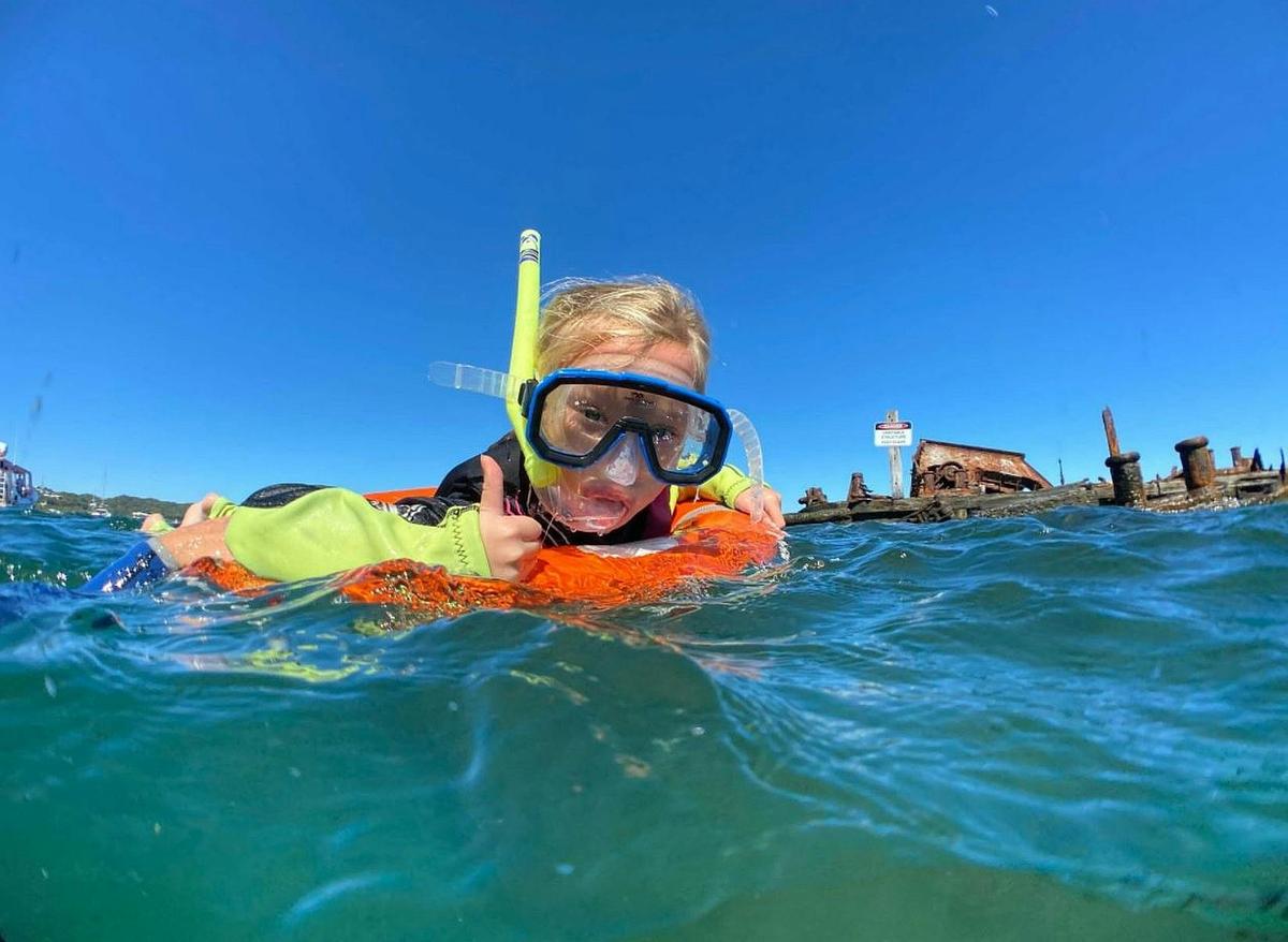Snorkel the reef