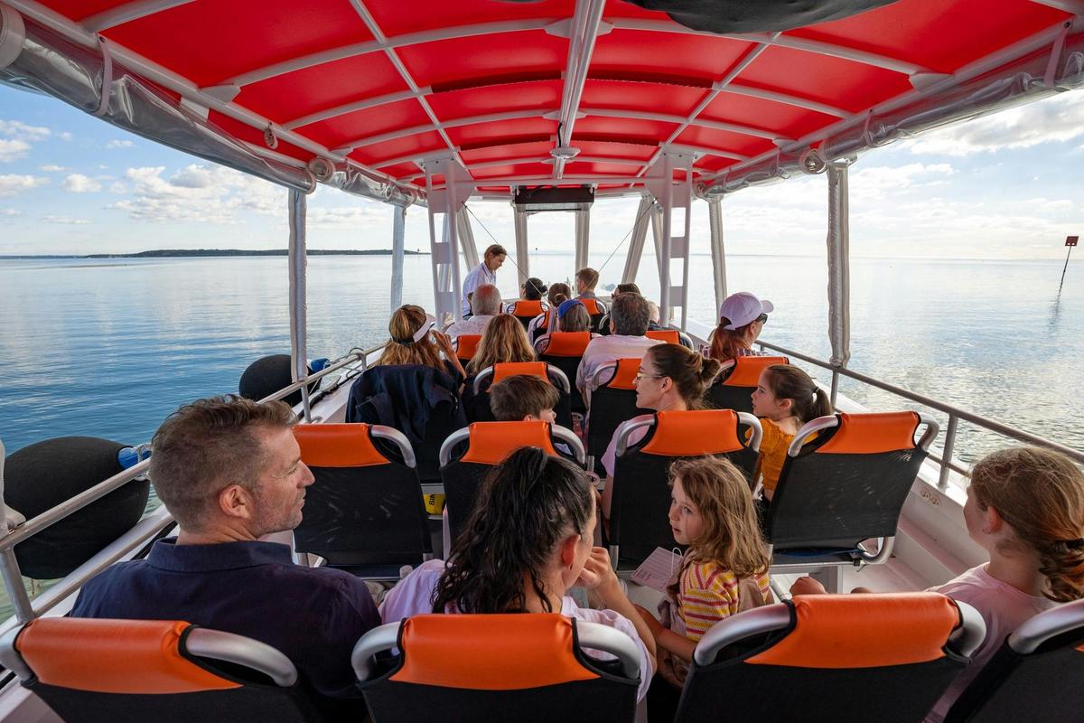 Moreton Bay Fast Cruise from Brisbane