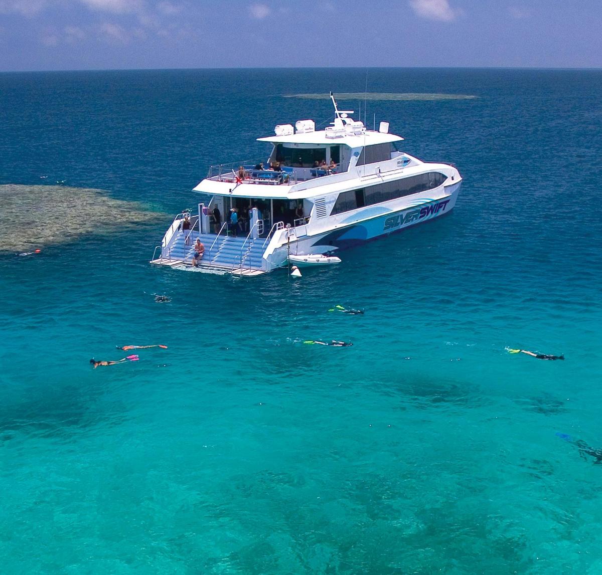Silverswift Dive and Snorkel Adventures