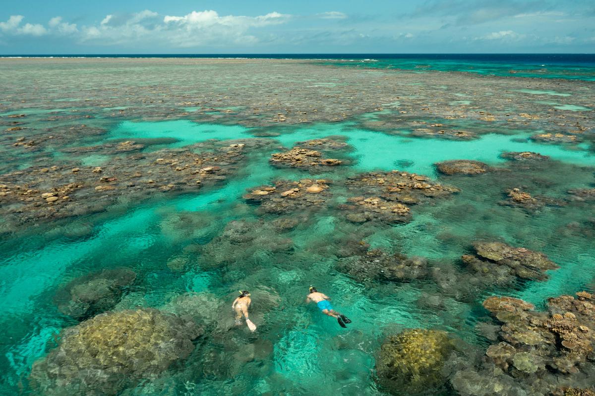snorkelling at Flynn Reef