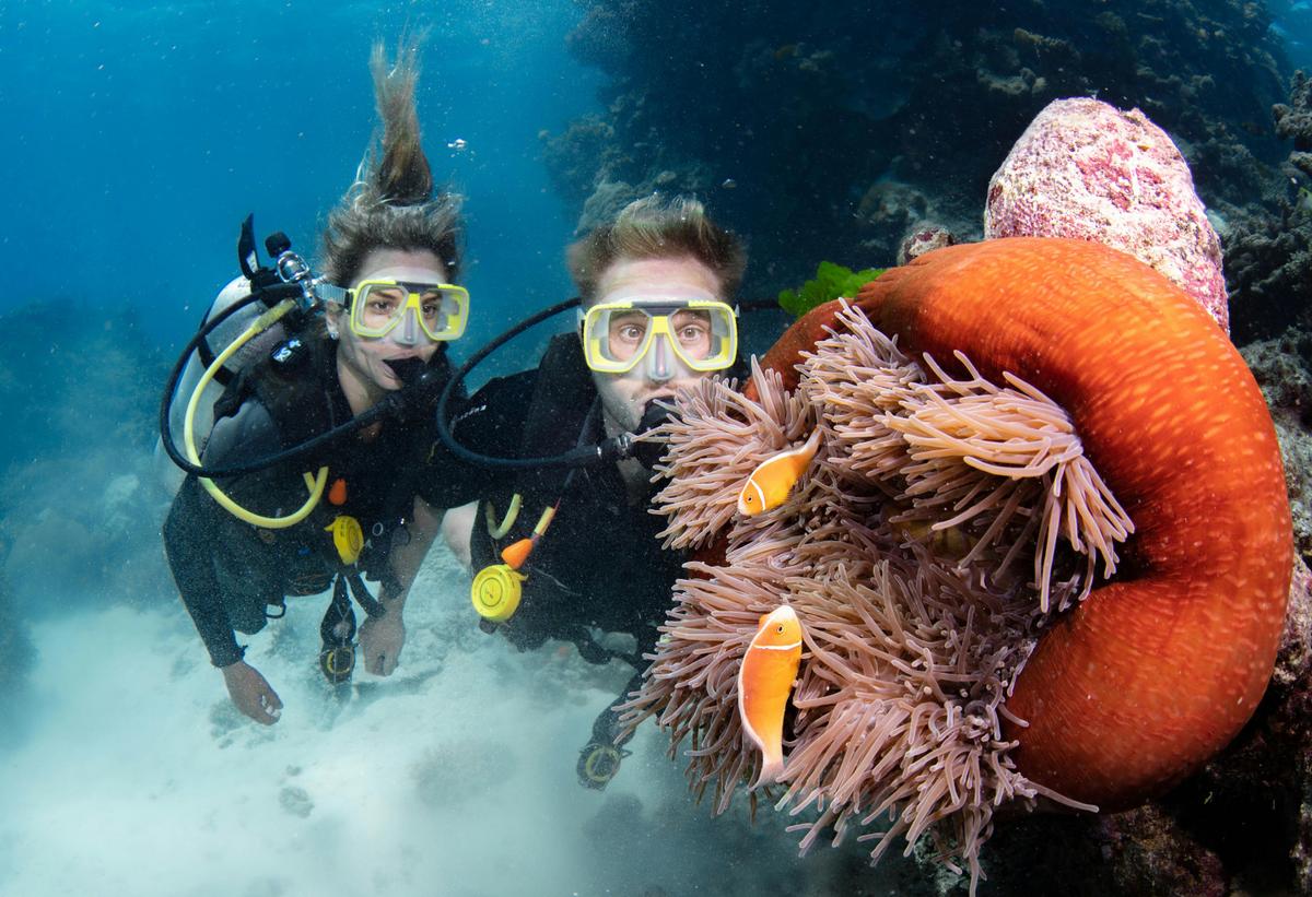 Silverswift Dive and Snorkel Adventures