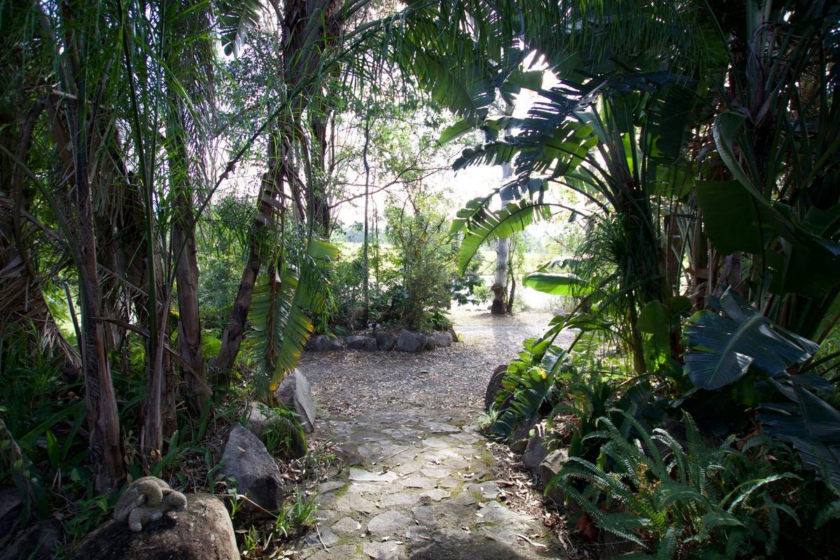 a View from The Cottage