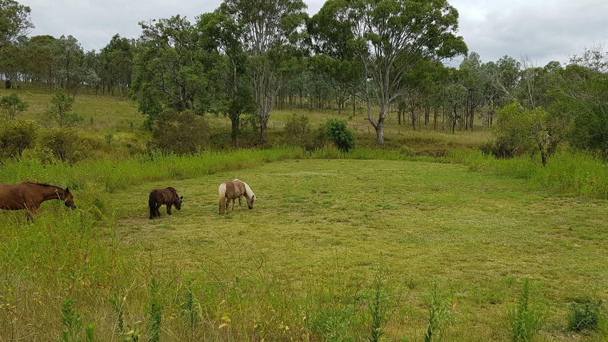 Stockyard Creek by Nanango