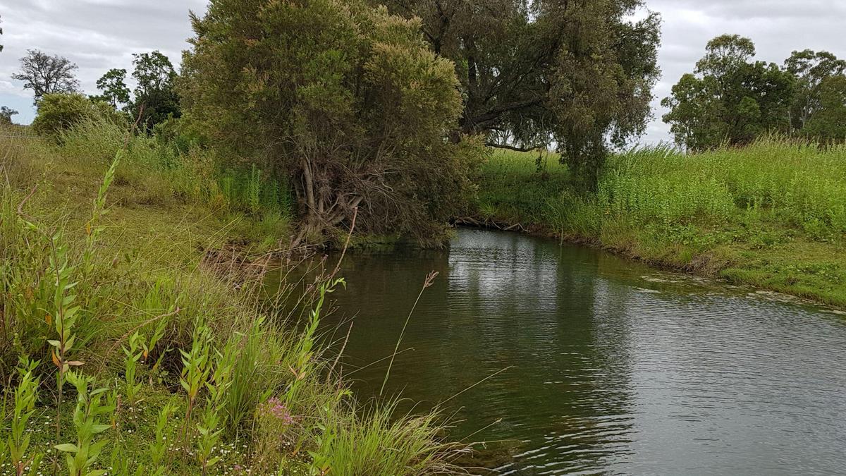 Stockyard Creek by Nanango