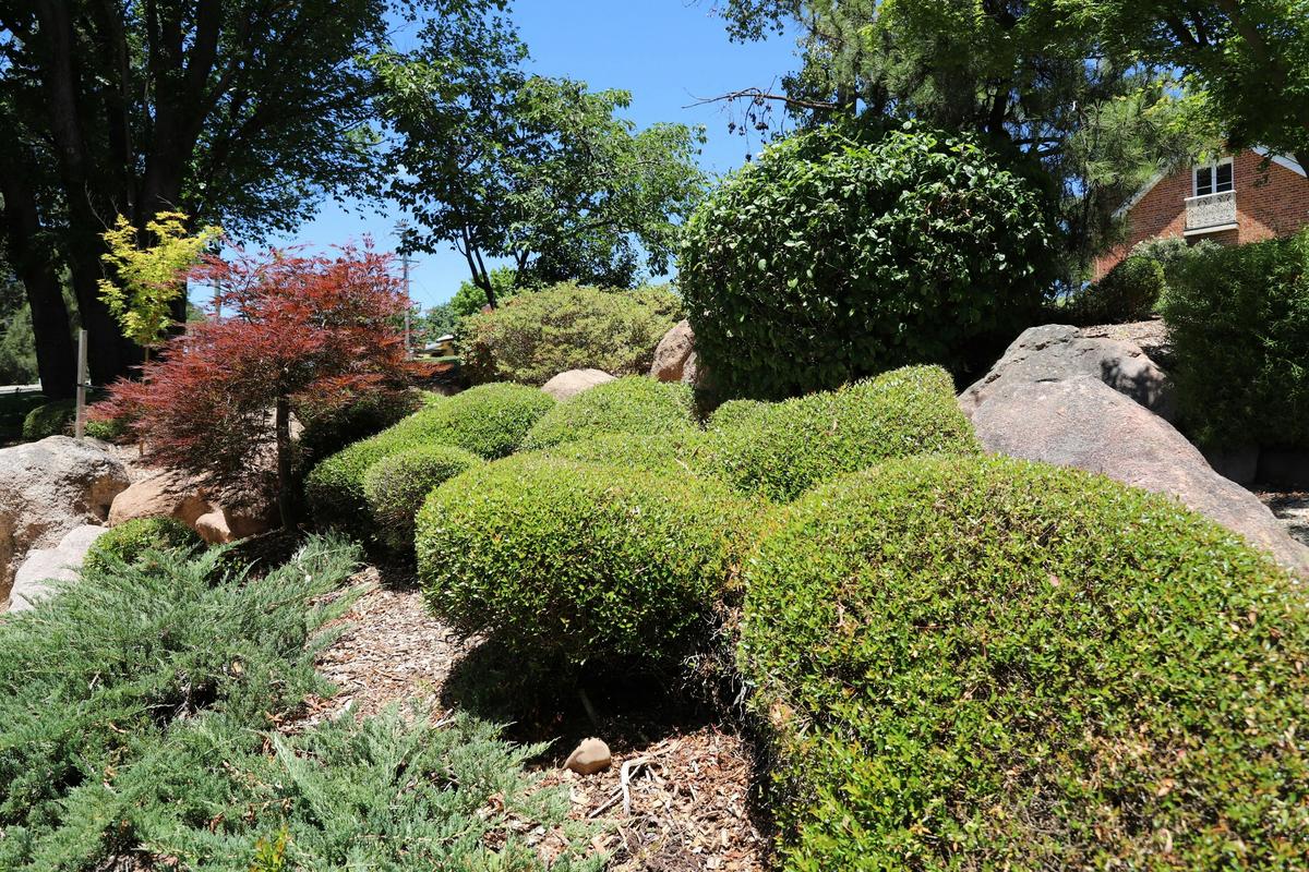 Bathurst Ohkuma Garden