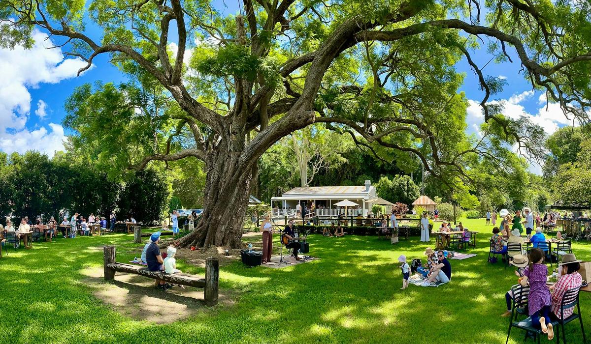 Country charm, open space and our famous Jacaranda trees.
