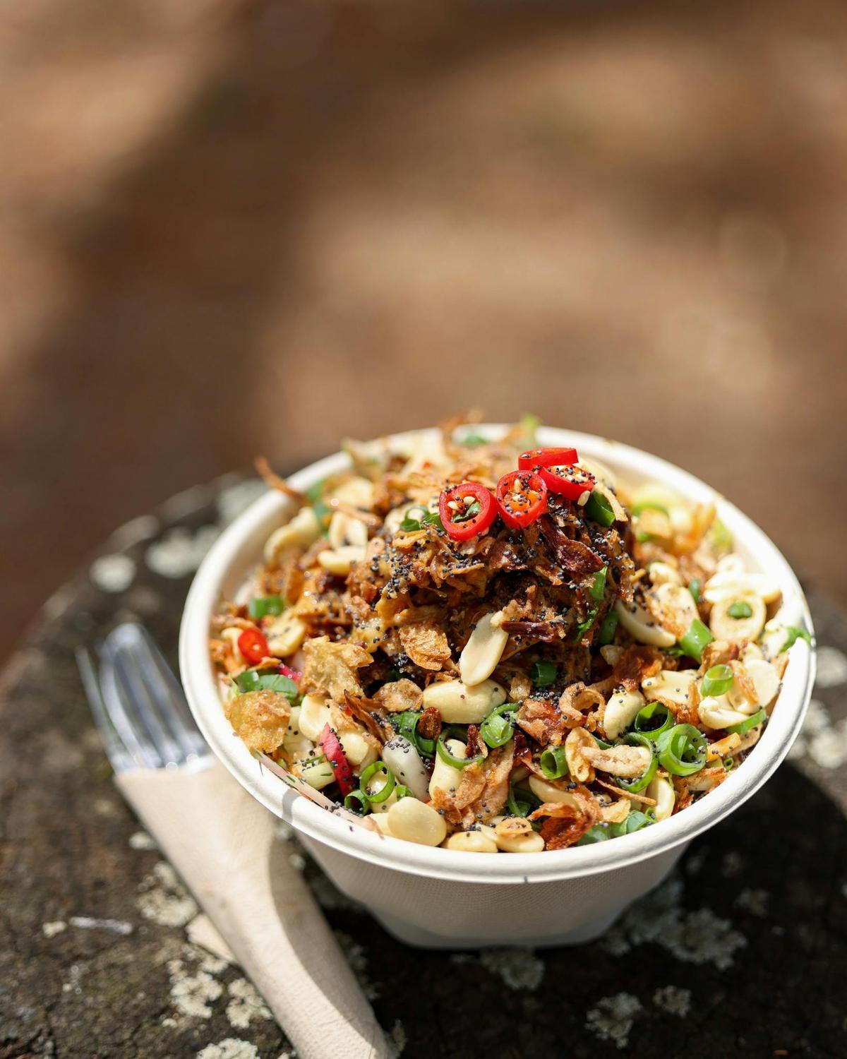 Ginger glazed pork salad