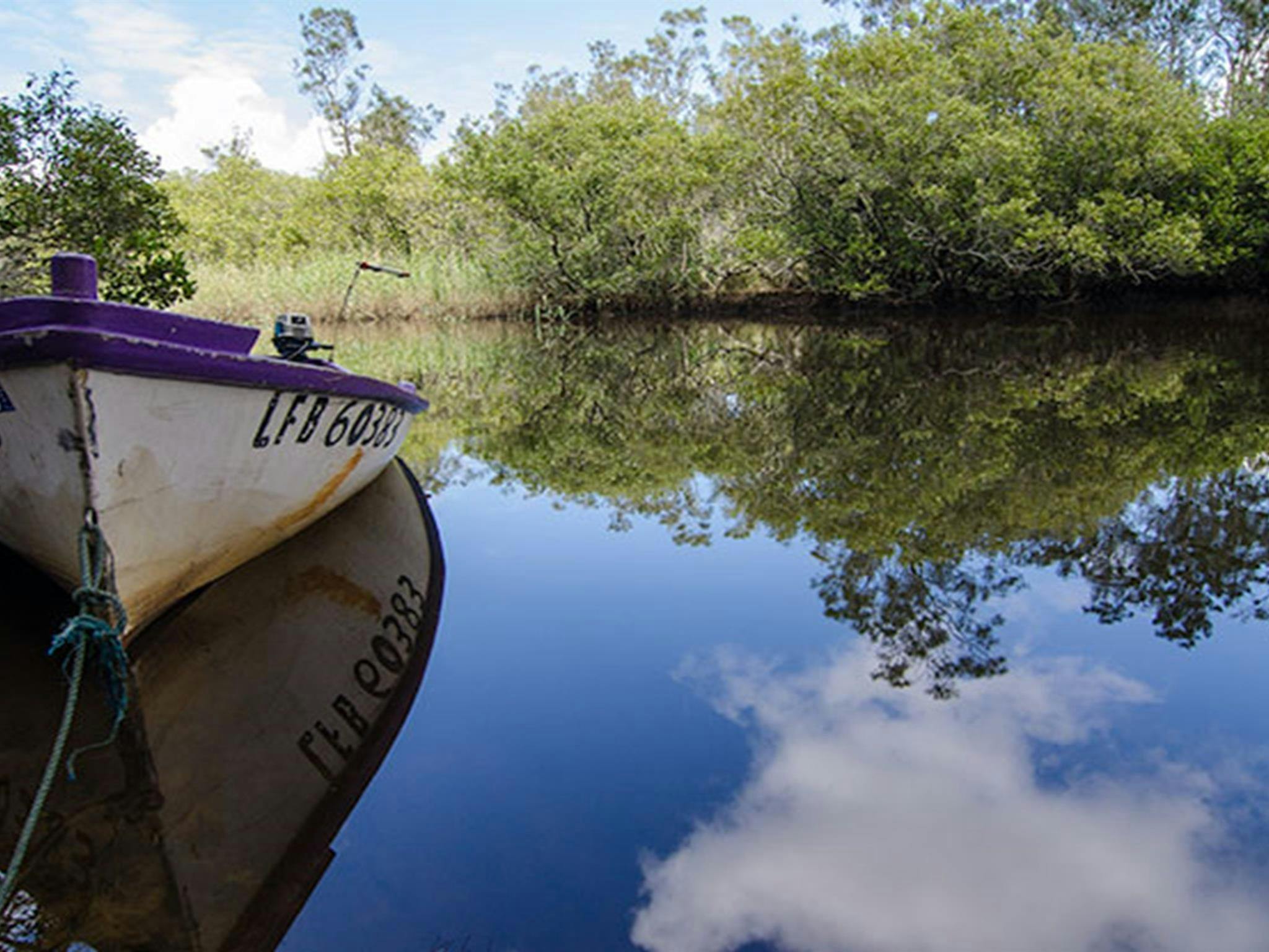 Pipers Creek picnic area, Myall Lakes National Park. Photo: John Spencer/NSW Government