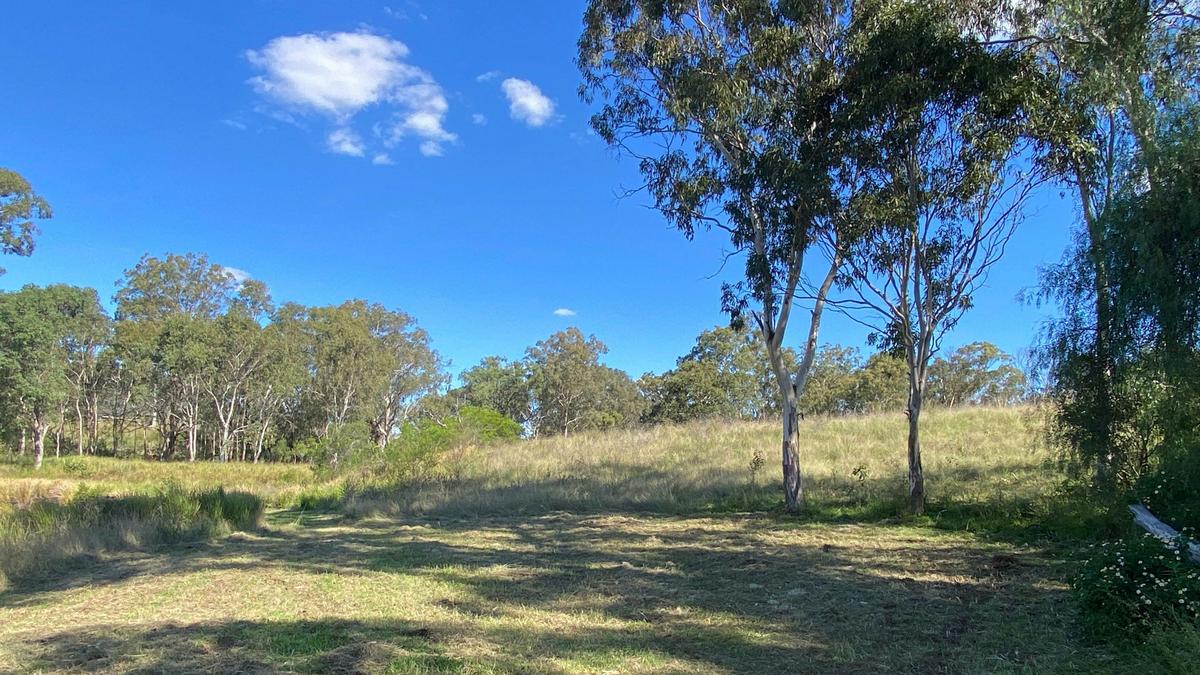 One of the campsite options, away from the other camps and the shelter. The creek is just in front of here and winds south through the property.