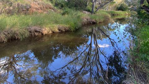 Secluded Creek Camp near Toowoomba
