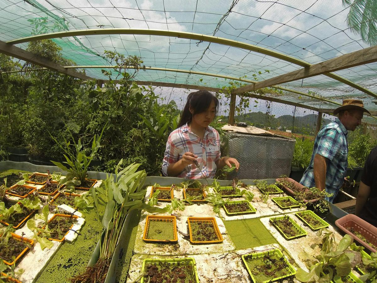 Sustainability Warriors