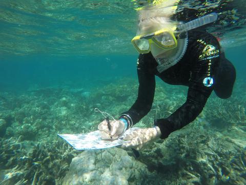 Ecosystems & Global Biodiversity: Reef and Rainforest