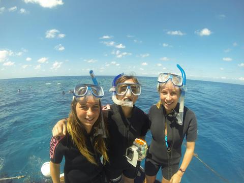 Ecosystems & Global Biodiversity: Reef and Rainforest