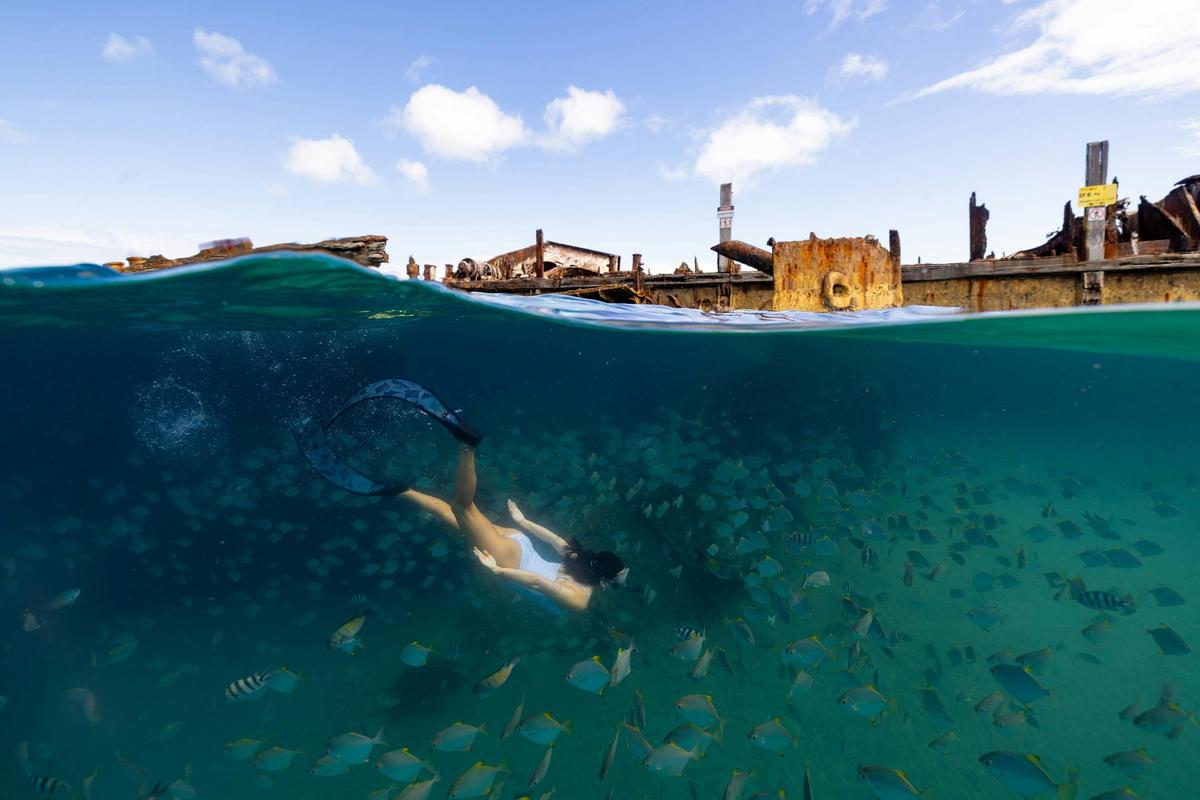 Moreton Island & Tangalooma Wrecks Snorkelling Tour