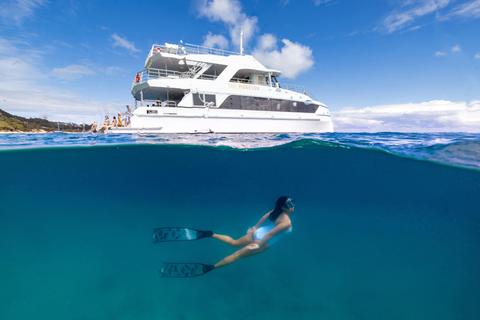 Moreton Island & Tangalooma Wrecks Snorkelling Tour