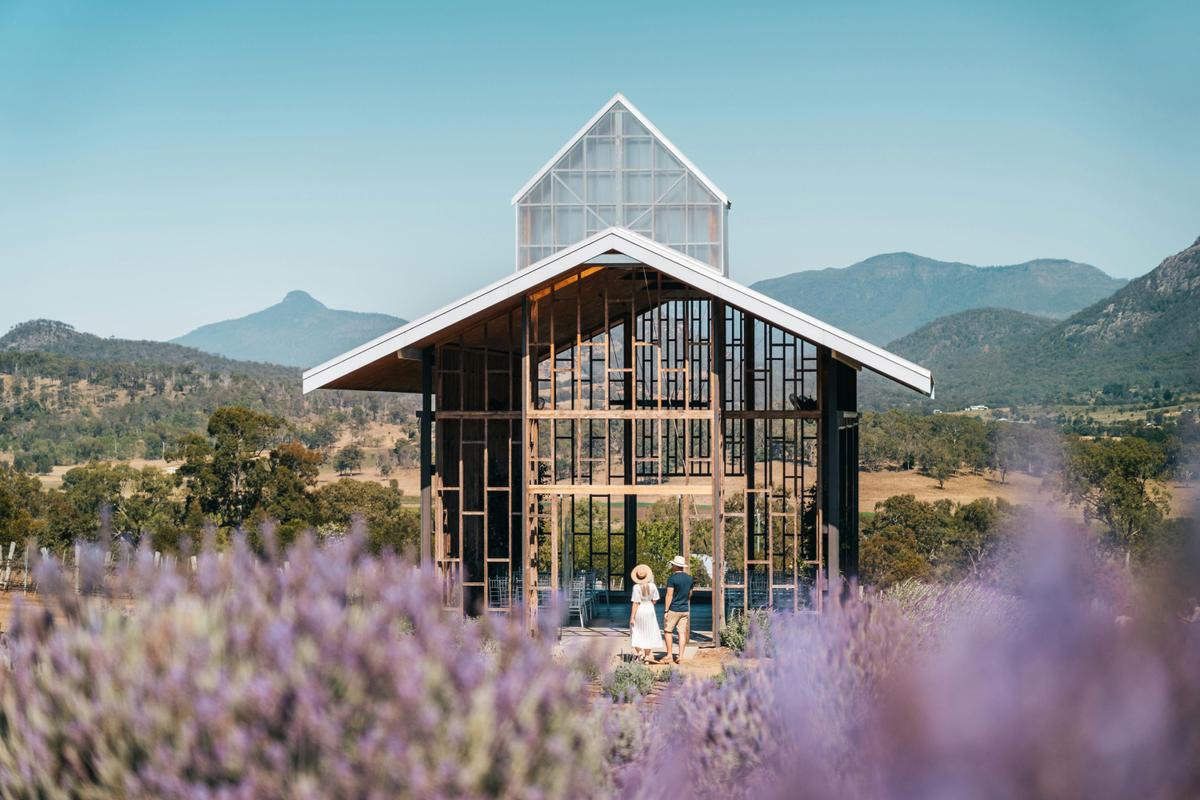 Walk through fields of lavender and vineyards at Kooroomba in the Scenic Rim