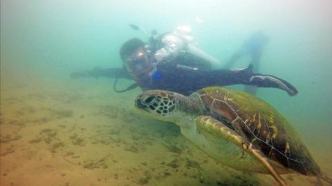 All PADI Scuba Diving Courses
