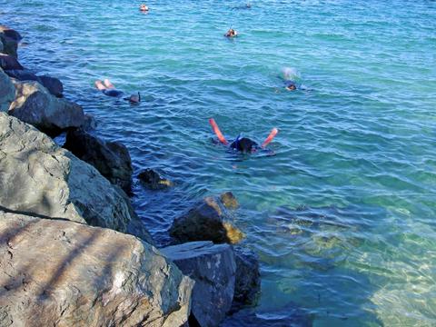 Snorkelling