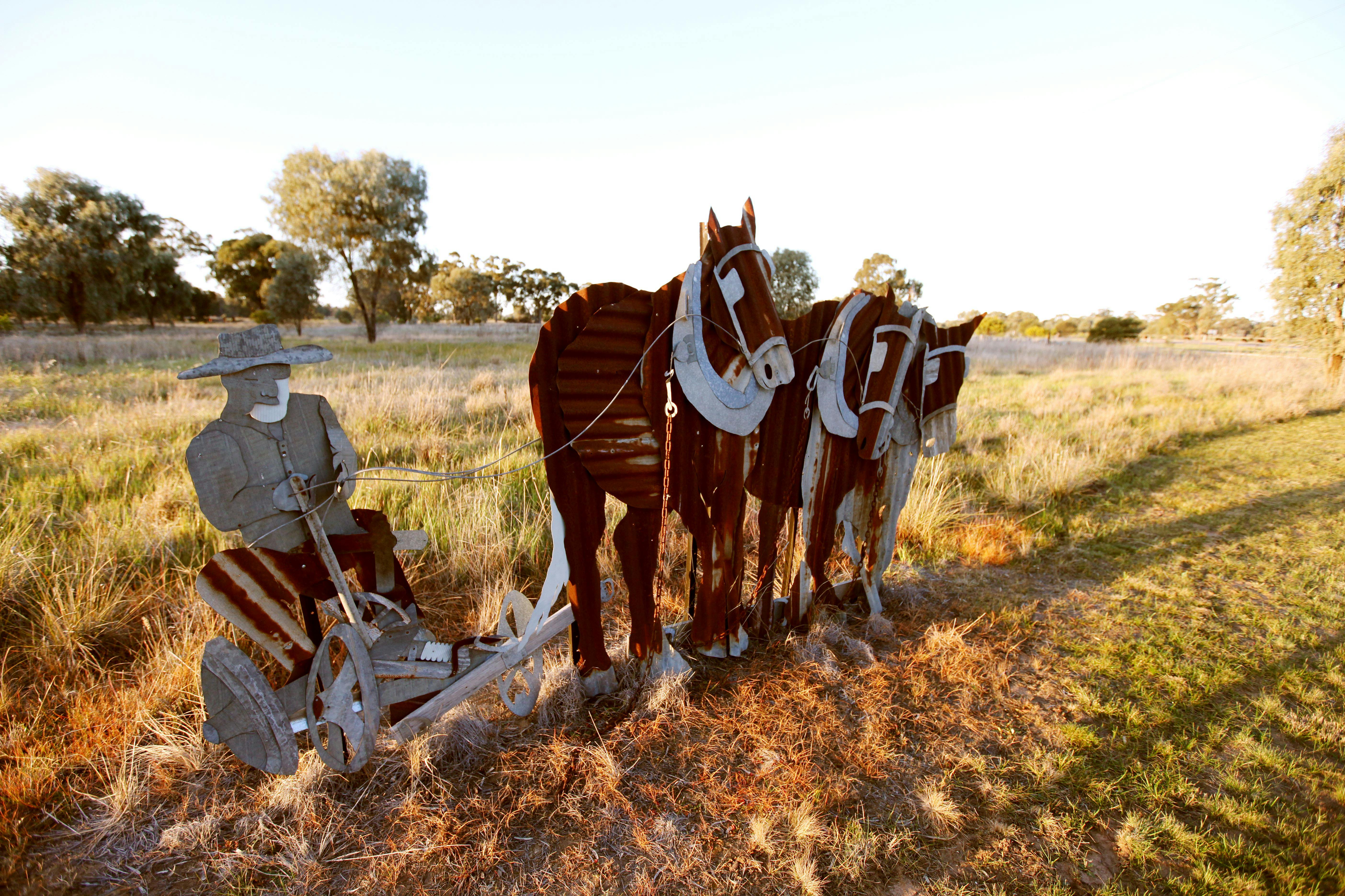 Pastoral Shadows of Brookong