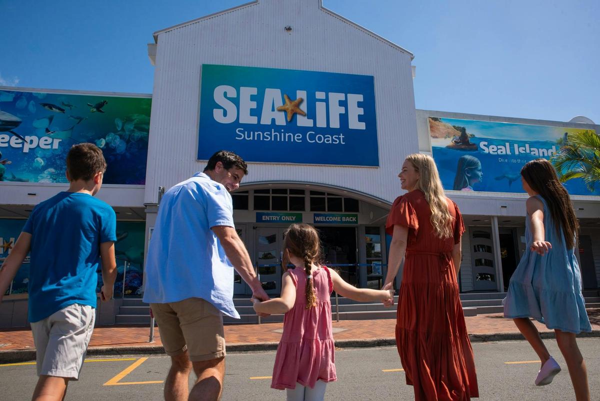 SEA LIFE Sunshine Coast Entry