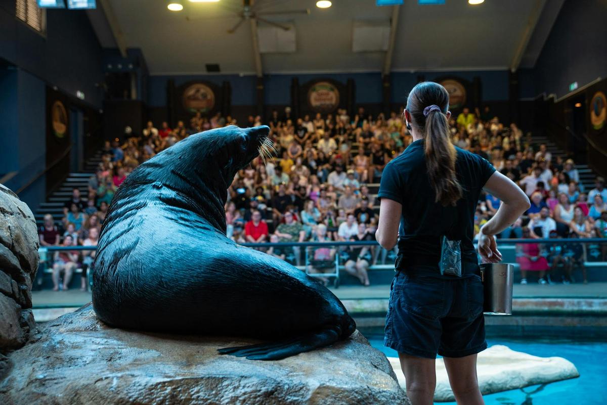 Seal Presentation