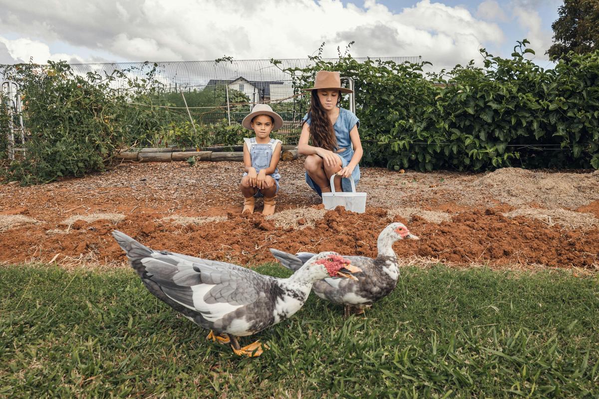 Enjoy harvesting produce from our veggie patch and feeding the animals on the farm