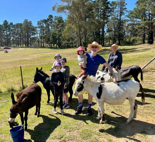 Pine Ridge Miniature Donkeys